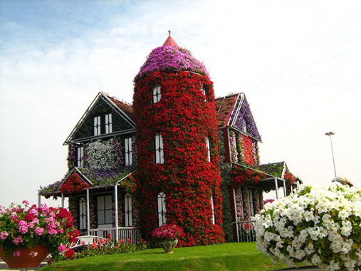 дом-цвет.jpg